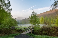 Früher Morgen an den Hirschbornteichen