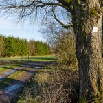 Extratour Drei-Seen-Tour Freiensteinau Vogelsberg