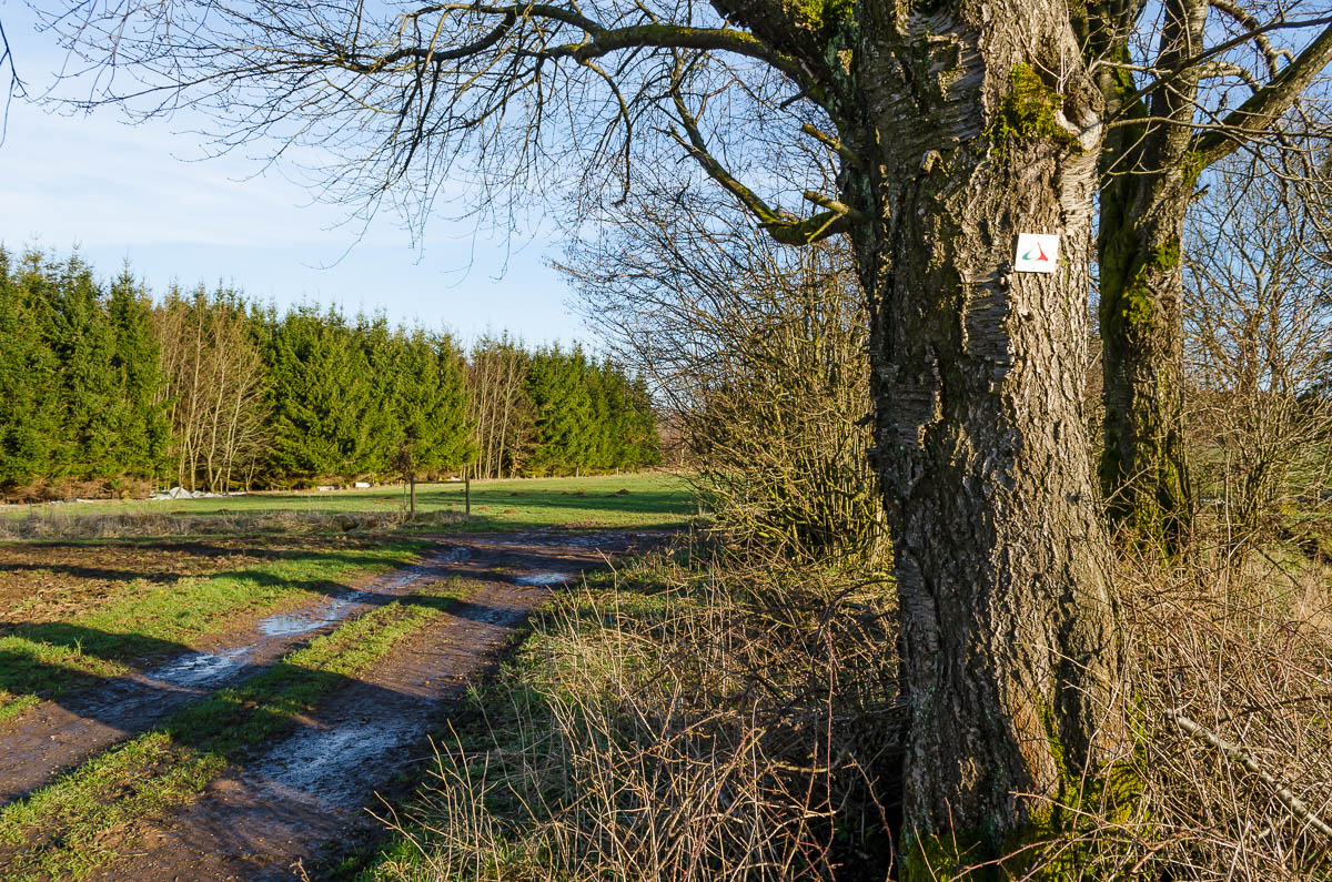 Extratour Drei-Seen-Tour Freiensteinau Vogelsberg