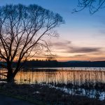 Nieder-Mooser-Teich-Sonnenuntergang