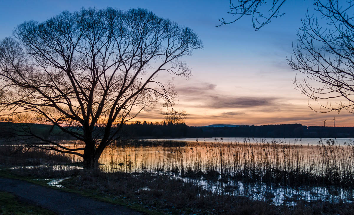 Nieder-Mooser-Teich-Sonnenuntergang