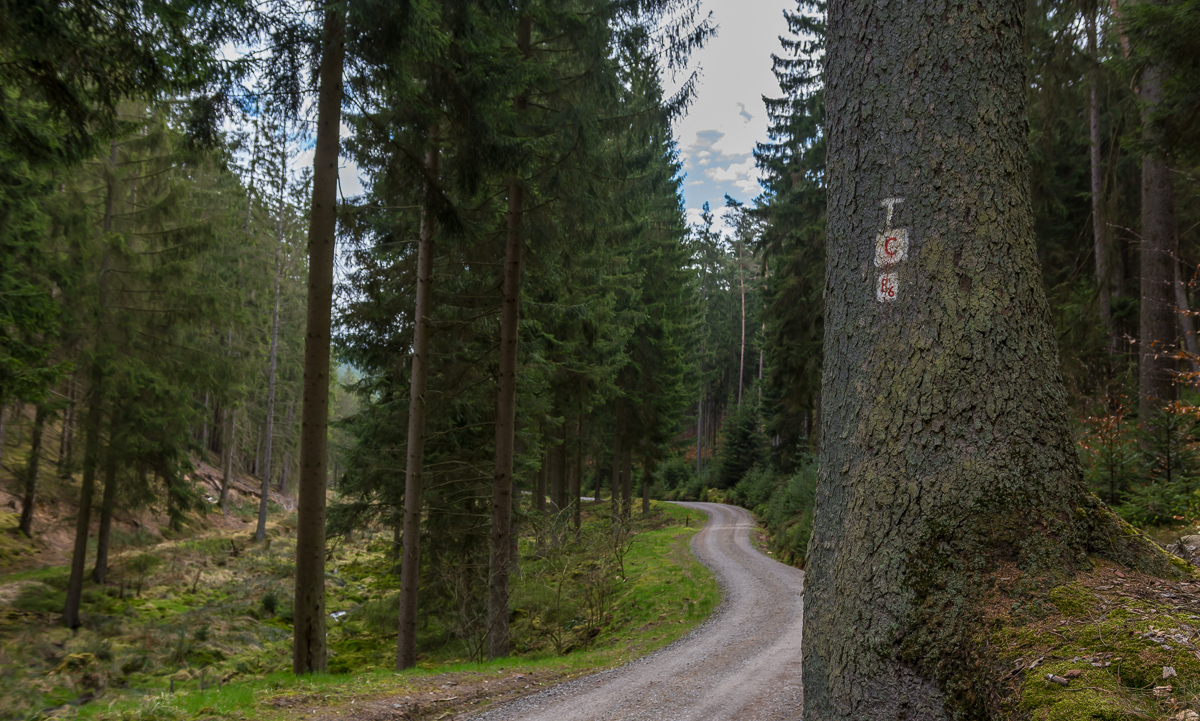 Das rote C weist den Weg