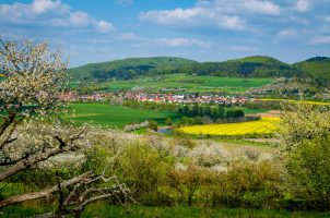 Kirschblüte in Nordhessen