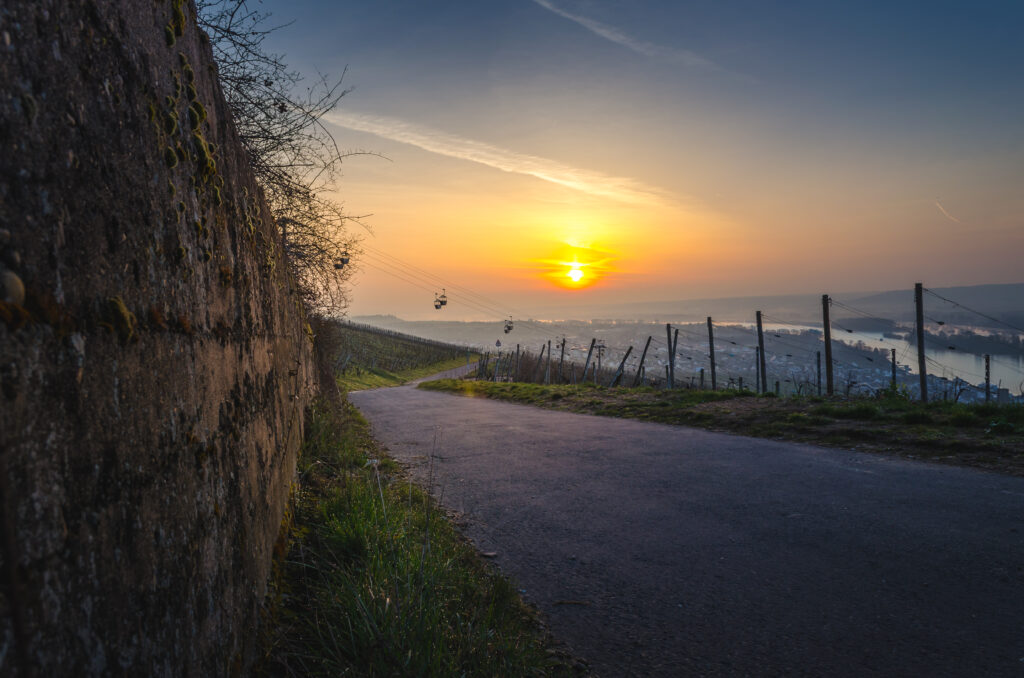 Seilbahn Rüdesheim schoeneshessen